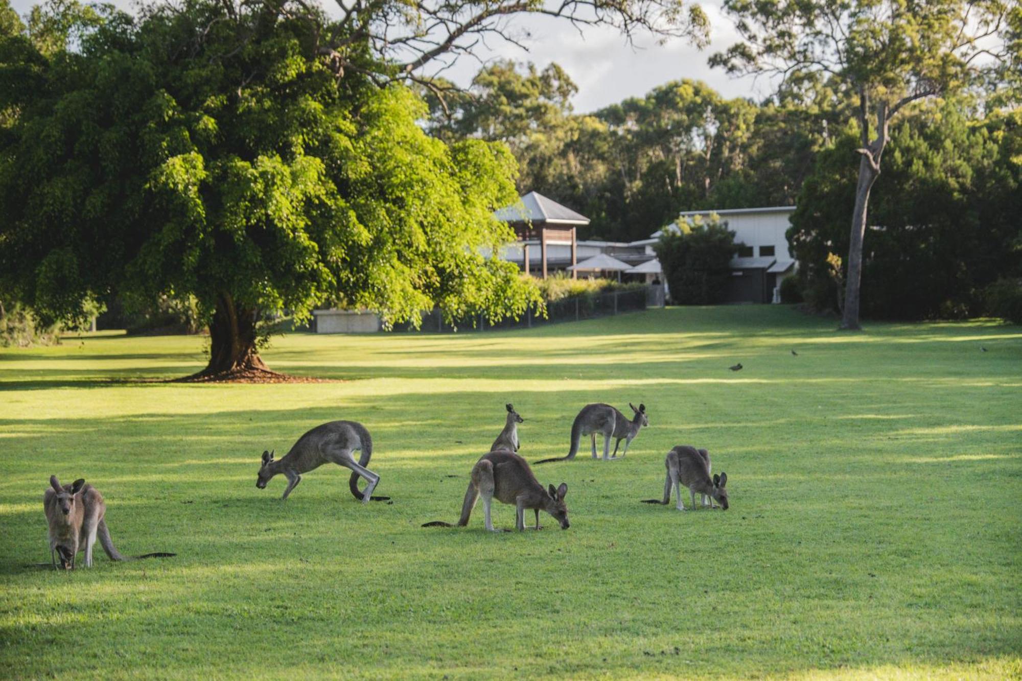 Senses Noosa North Shore Εξωτερικό φωτογραφία